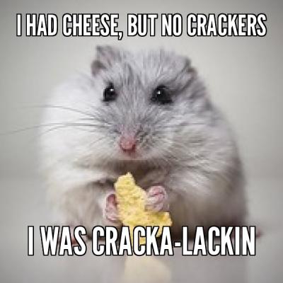 Top five cheesy memes - Wititudes